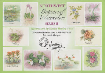 Northwest Botanical Watercolors Card Box Set