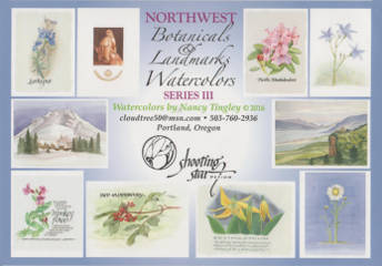 Northwest Botanicals & Landmarks Watercolors Card Box Set